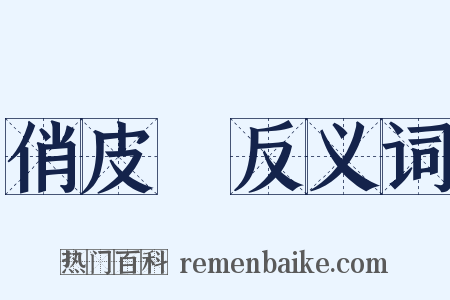俏皮話反义词是什么意思的图片